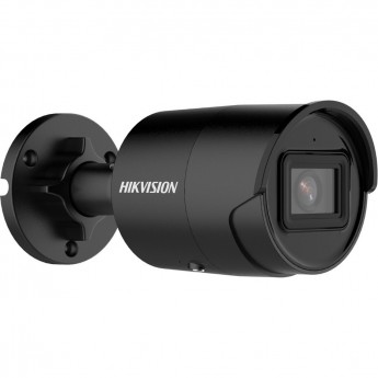 Камера видеонаблюдения HIKVISION DS-2CD2043G2-IU(2.8mm)(BLACK) Камера видеонаблюдения HIKVISION DS-2CD2043G2-IU(2.8mm)(BLACK)